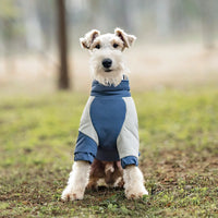 Winter Windproof Dog Coat, Warm Two-Legs Cotton Jacket for Small Medium Large Dogs, Cozy Cold Weather Pet Apparel