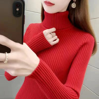 2024 New Women Turtleneck Winter Sweater Women Long Sleeve Knitted Women Sweaters And Pullovers Female Jumper Tricot Tops