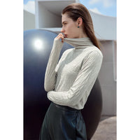 AMII Minimalist 2025 Spring Turtleneck Sweater for Women Winter Slim Warm Solid Long Sleeve Simple Pullover Female Tops 12323145