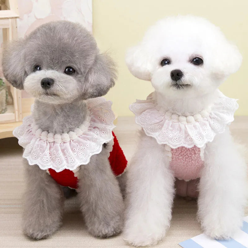 Sweet Dog Clothes Winter Pink Red Fleece Vest Jacket For Small Dogs Chihuahua Dachshund Pet Apparels Puppy Coat Jacket Outfit XL