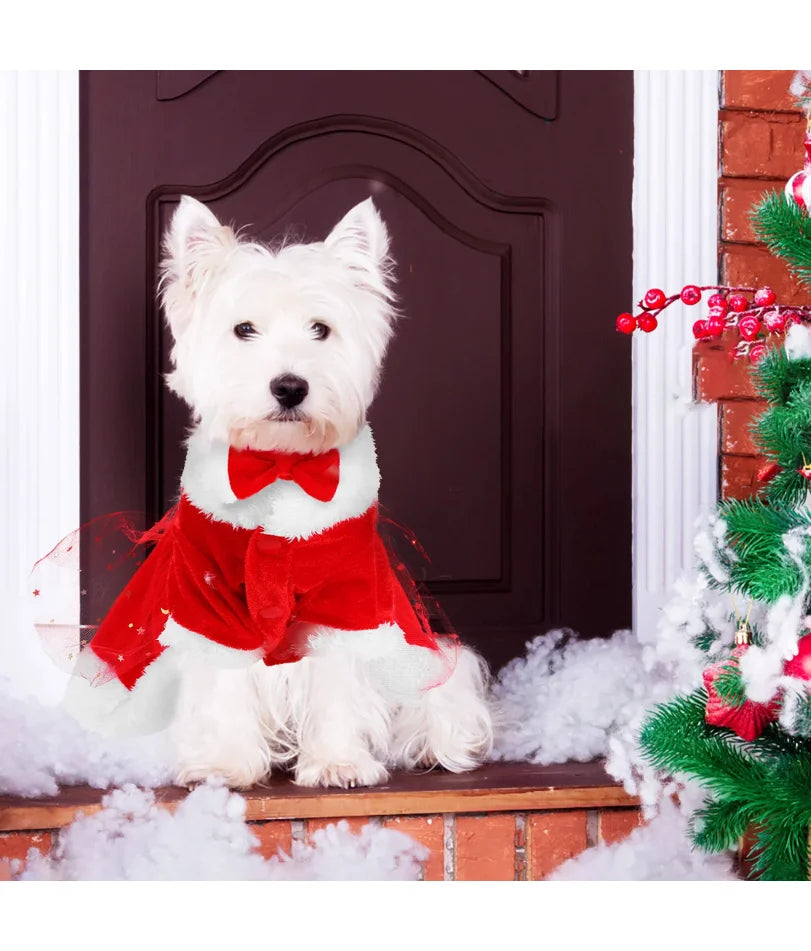 1 Set Dog Christmas Costume Dog Santa Claus Apparel Dress Puppy Winter Dressing  Holiday Party Costume Dog Apparel With Bow