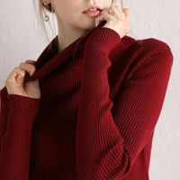 Women's Sweater Knitted Pullover Sweater Women New Sweaters Ladies Turtleneck Top Women Bottoming Jumper Winter Clothes Woman