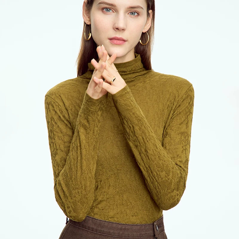 AMII Minimalist 2025 Spring Turtleneck Sweater for Women Winter Slim Warm Solid Long Sleeve Simple Pullover Female Tops 12323145