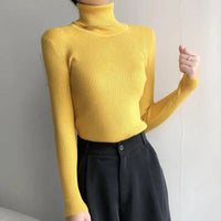 Women's Sweater Knitted Pullover Sweater Women New Sweaters Ladies Turtleneck Top Women Bottoming Jumper Winter Clothes Woman