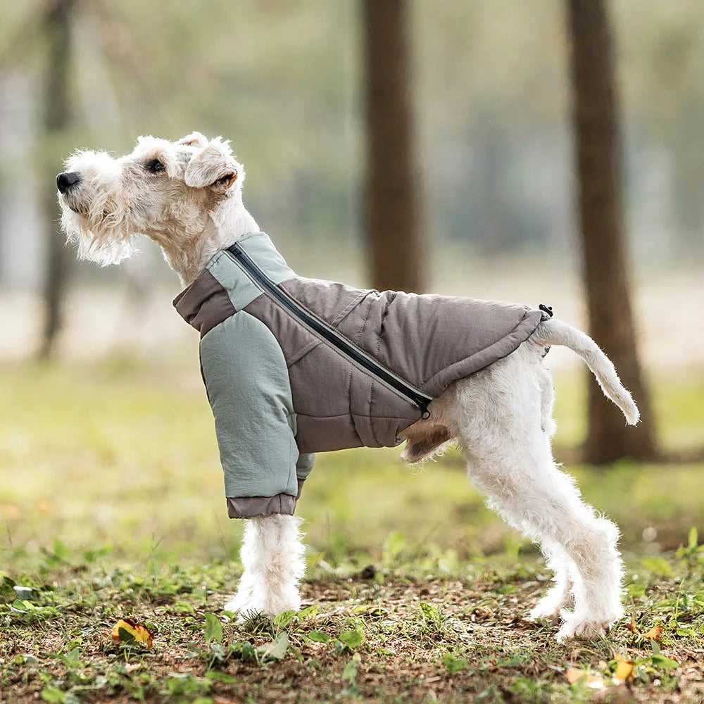 Winter Windproof Dog Coat, Warm Two-Legs Cotton Jacket for Small Medium Large Dogs, Cozy Cold Weather Pet Apparel